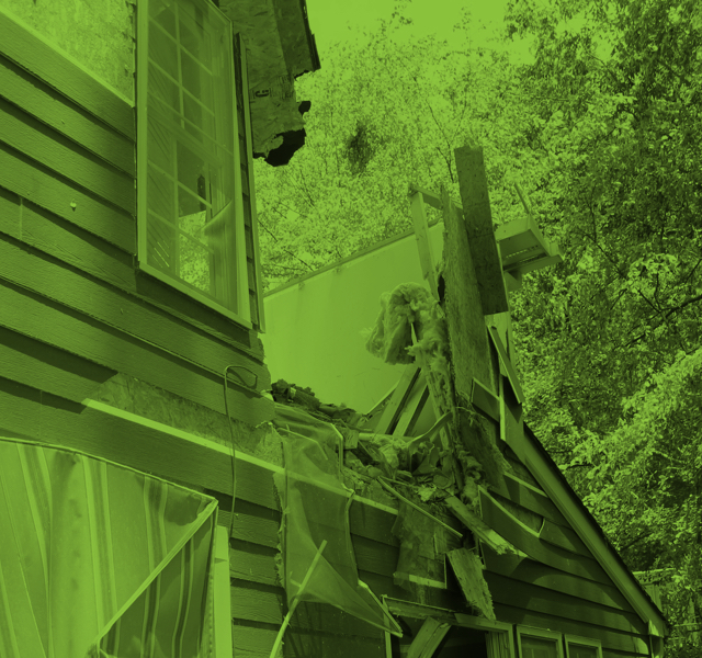 Photo of Atlanta Tree Professionals
