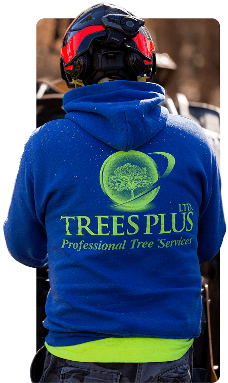 Photo of Trees Plus Ltd.
