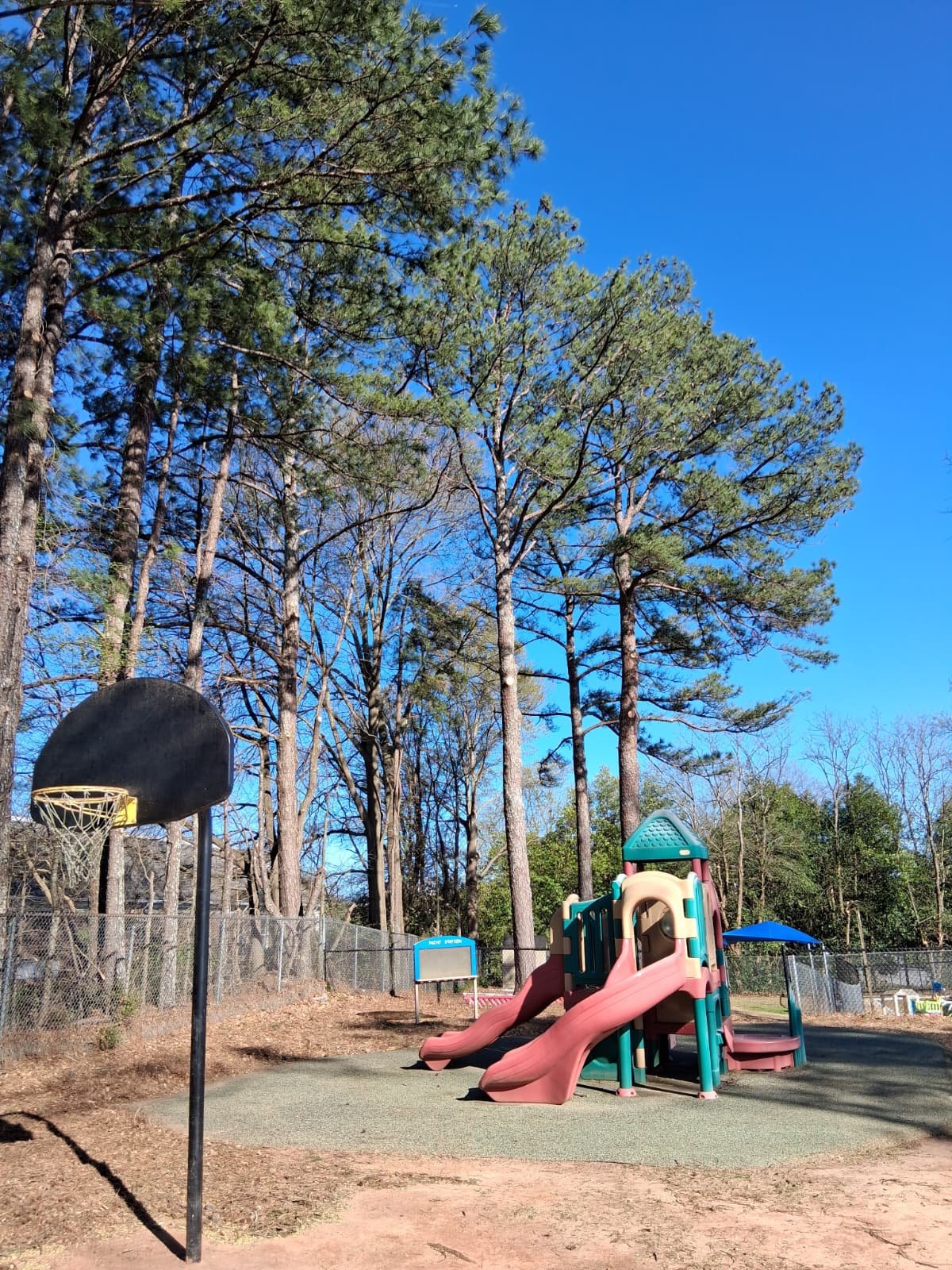 Photo of Tree Service Quiroz Llc