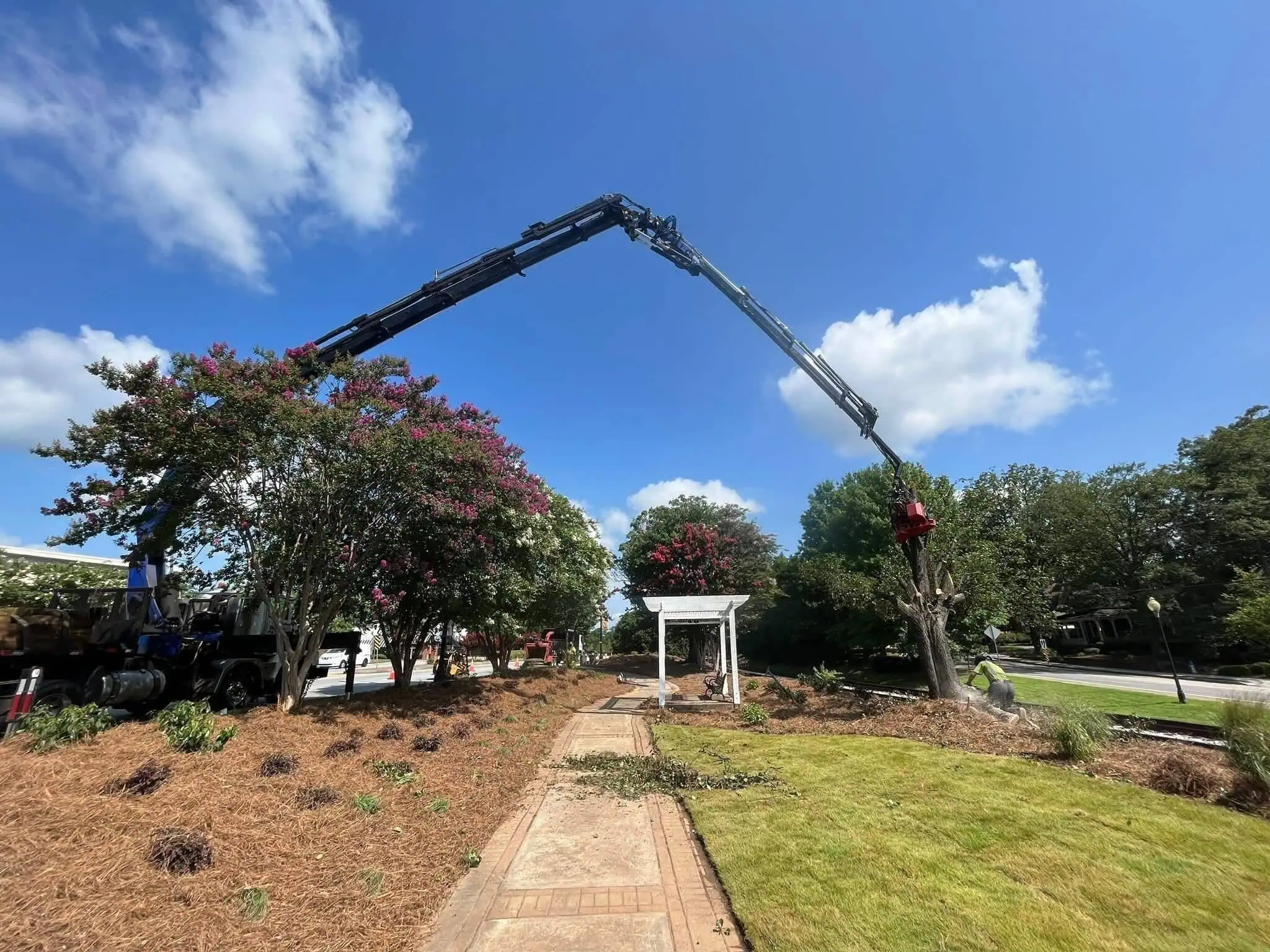 QDS TreeWorx tree service work