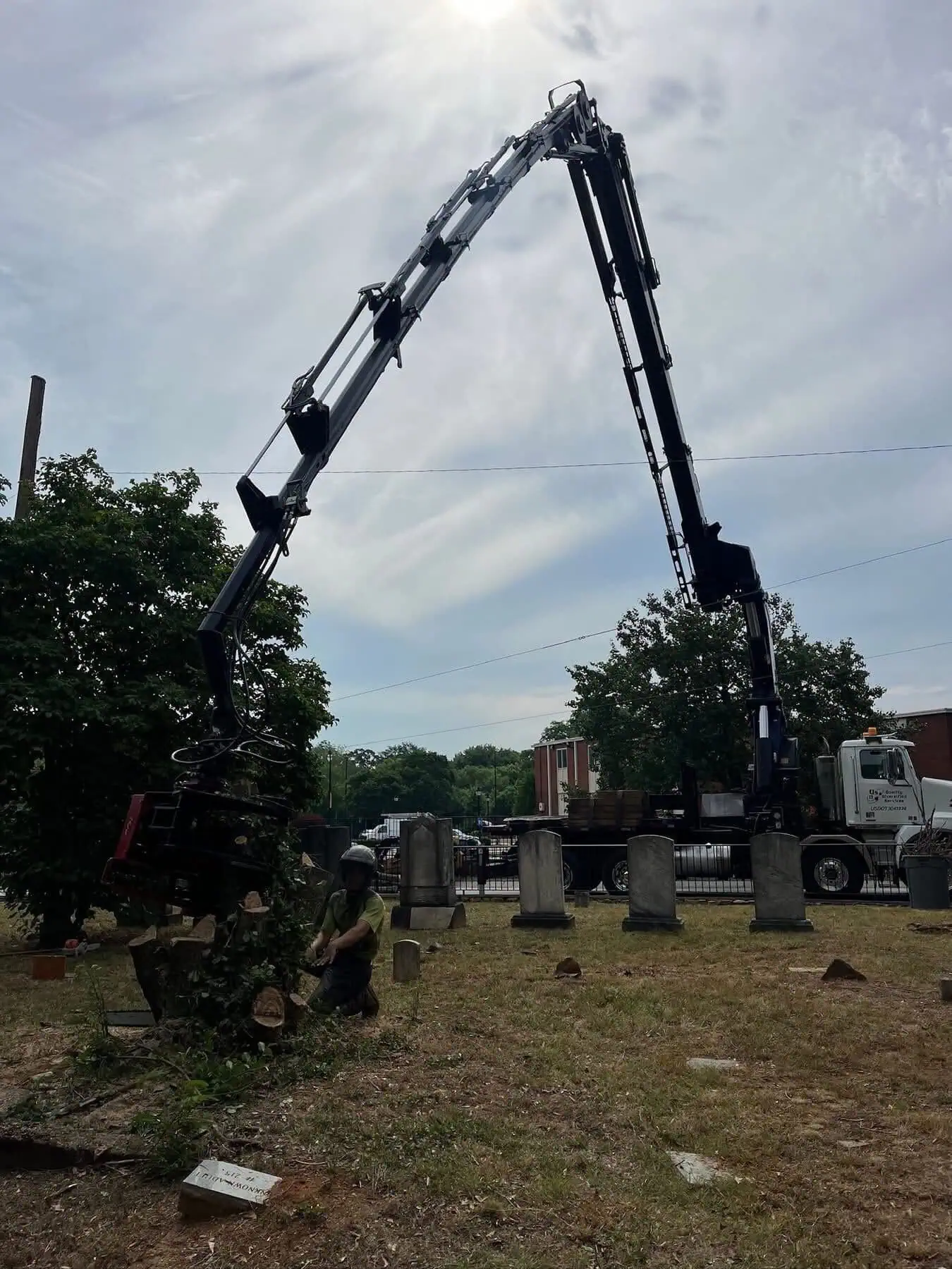 QDS TreeWorx tree service work