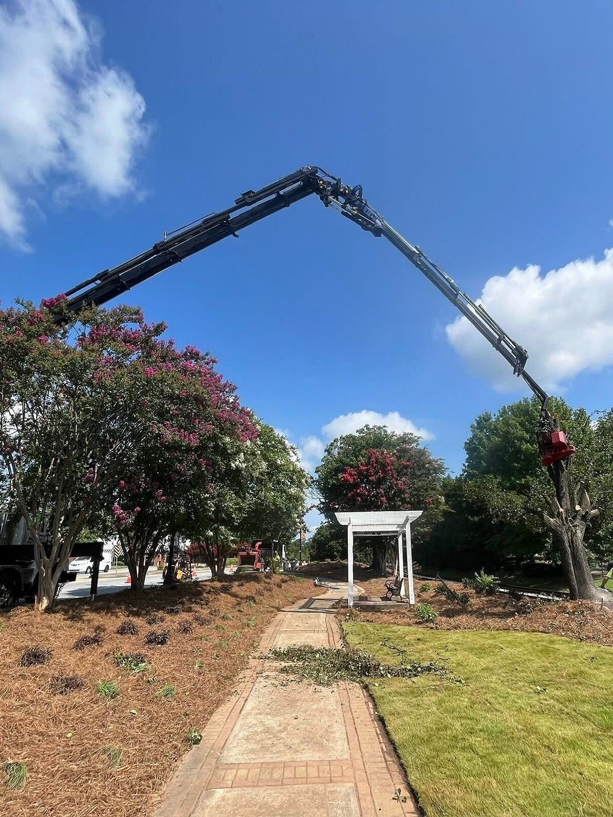 QDS TreeWorx tree service work