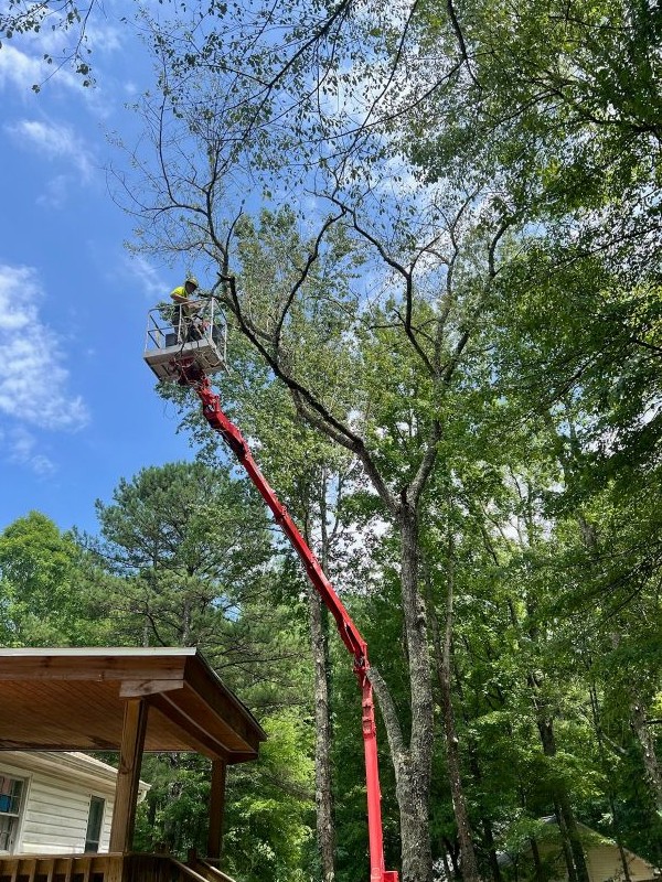 QDS Tree Lift