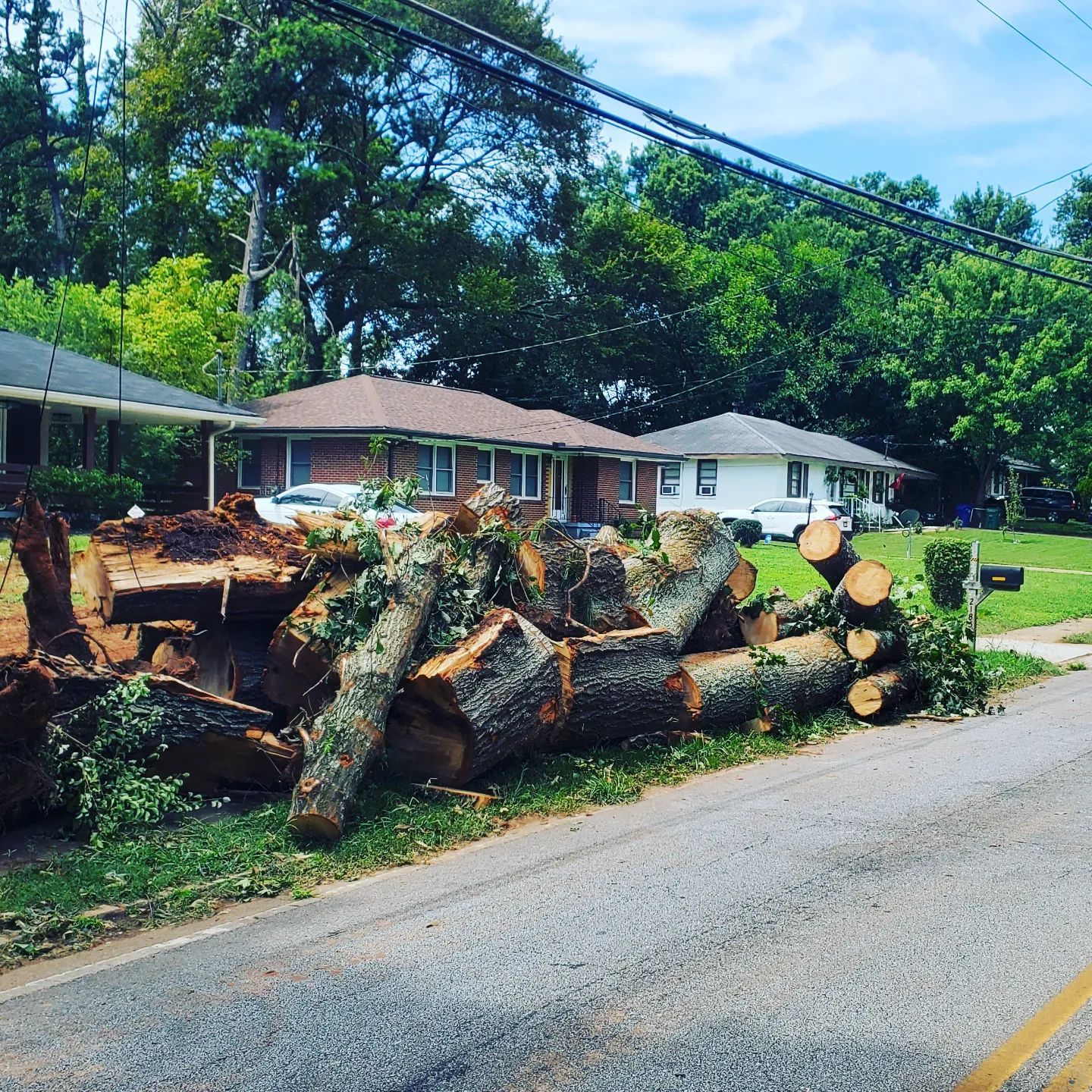 One+Source+Tree+Service+ +iamges+%2824%29 1920w