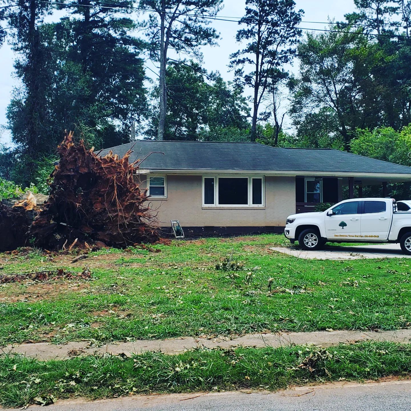 One+Source+Tree+Service+ +iamges+%2825%29 1920w