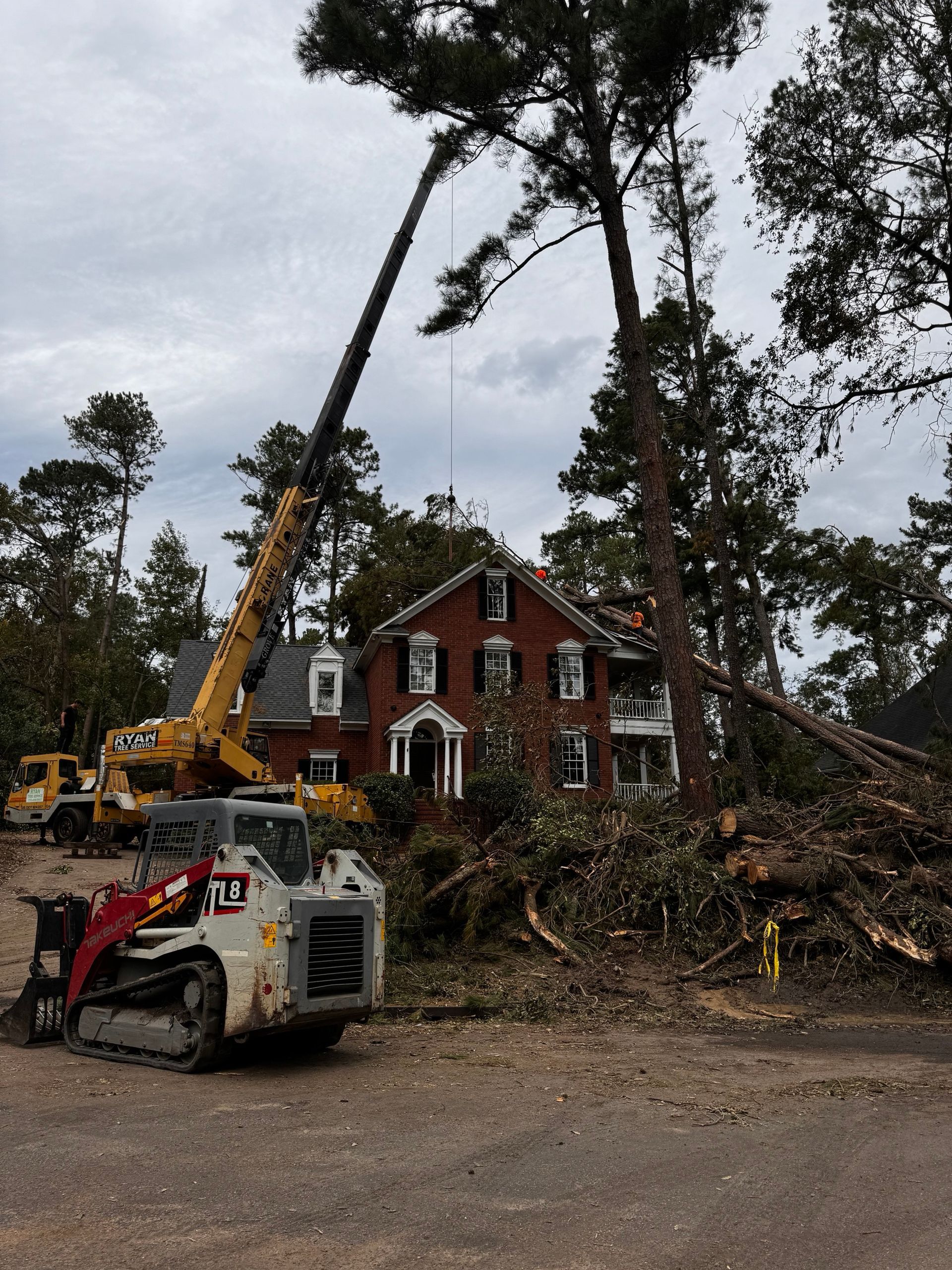 Ryan tree service inc gallery 1920w