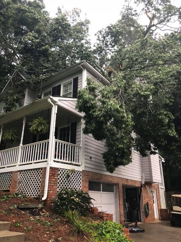 Ryan tree service inc gallery home 1920w