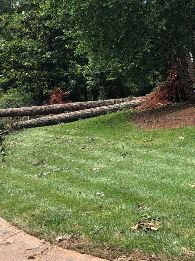 Ryan tree service inc gallery home 640w