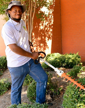 Pro-TERRAIN Landscaping, LLC tree service work