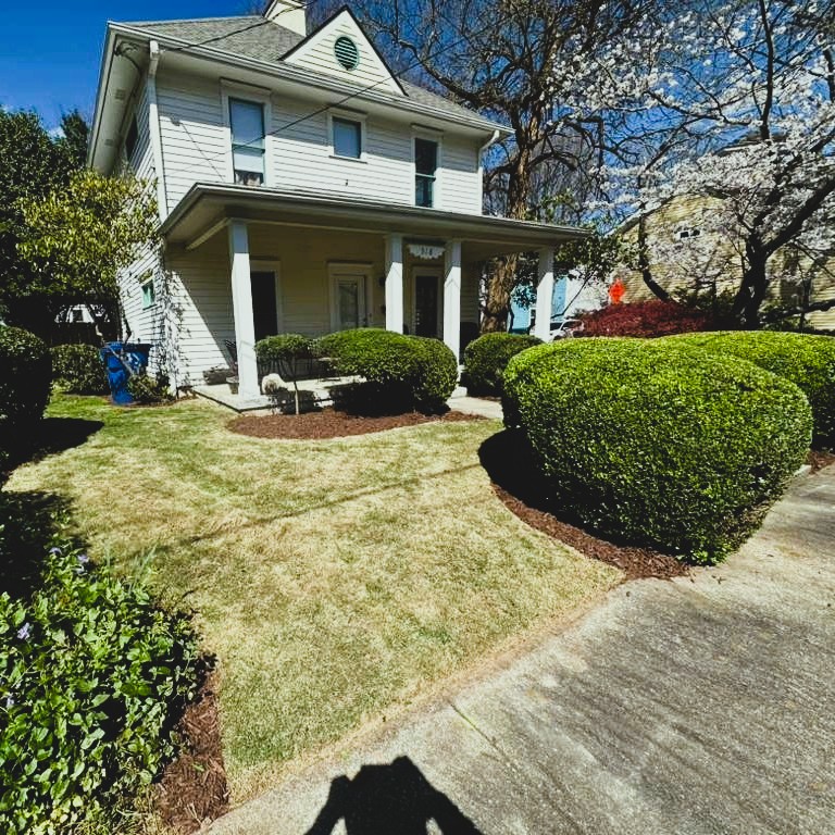 ArboPro Trees Service & Landscaping tree service work