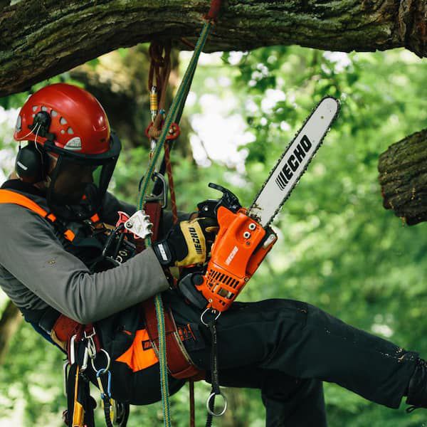 ArboPro Trees Service & Landscaping tree service work