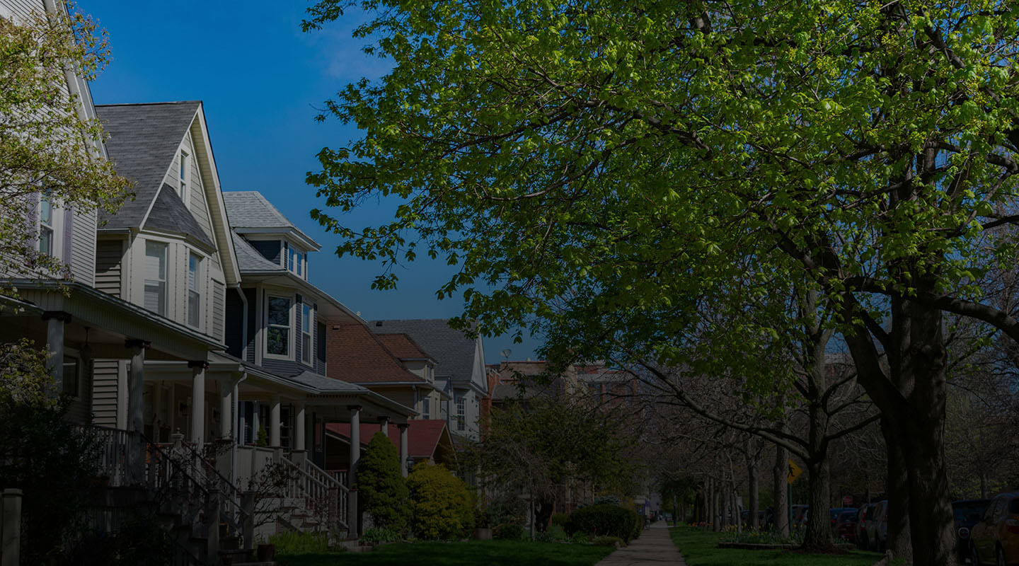 Photo of Jr Rodriguez Tree service LLC
