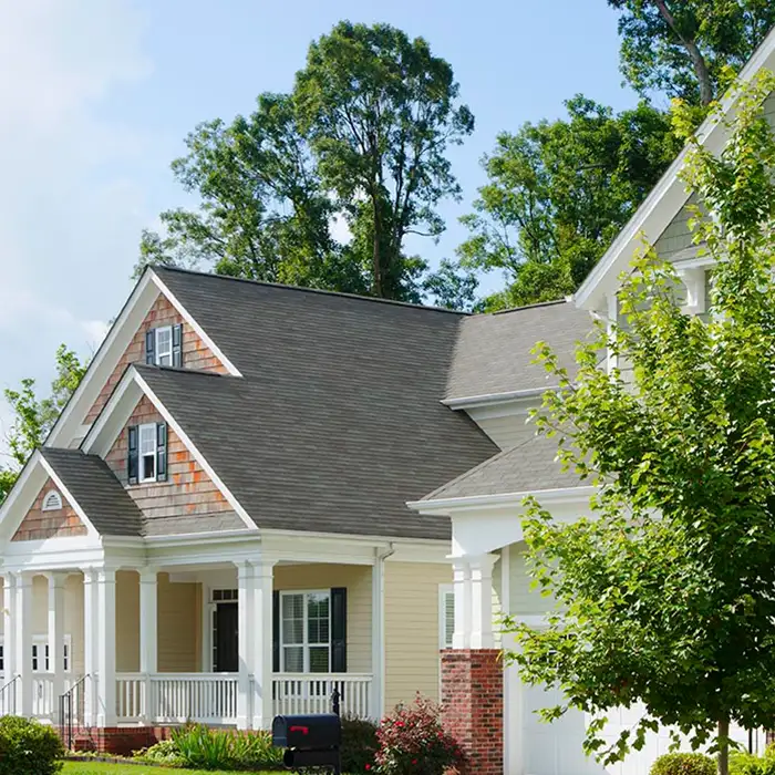 Jr Rodriguez Tree service LLC tree service work