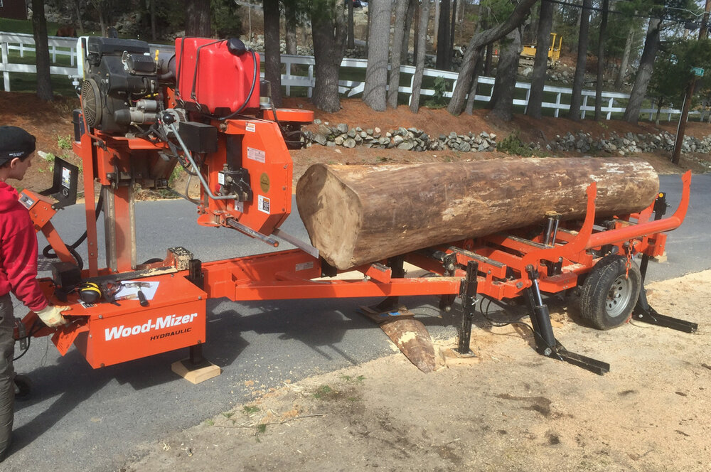 Sharp Tree Service tree service work
