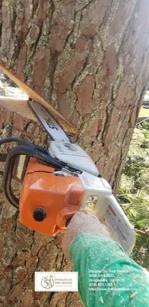 Douglas County Tree Service 010.jpg