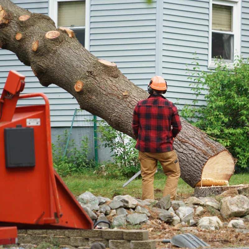 Manual worker removing tree in area in buford ga