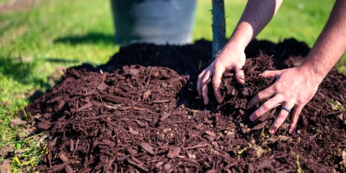 Wood Chipping and Mulching Services