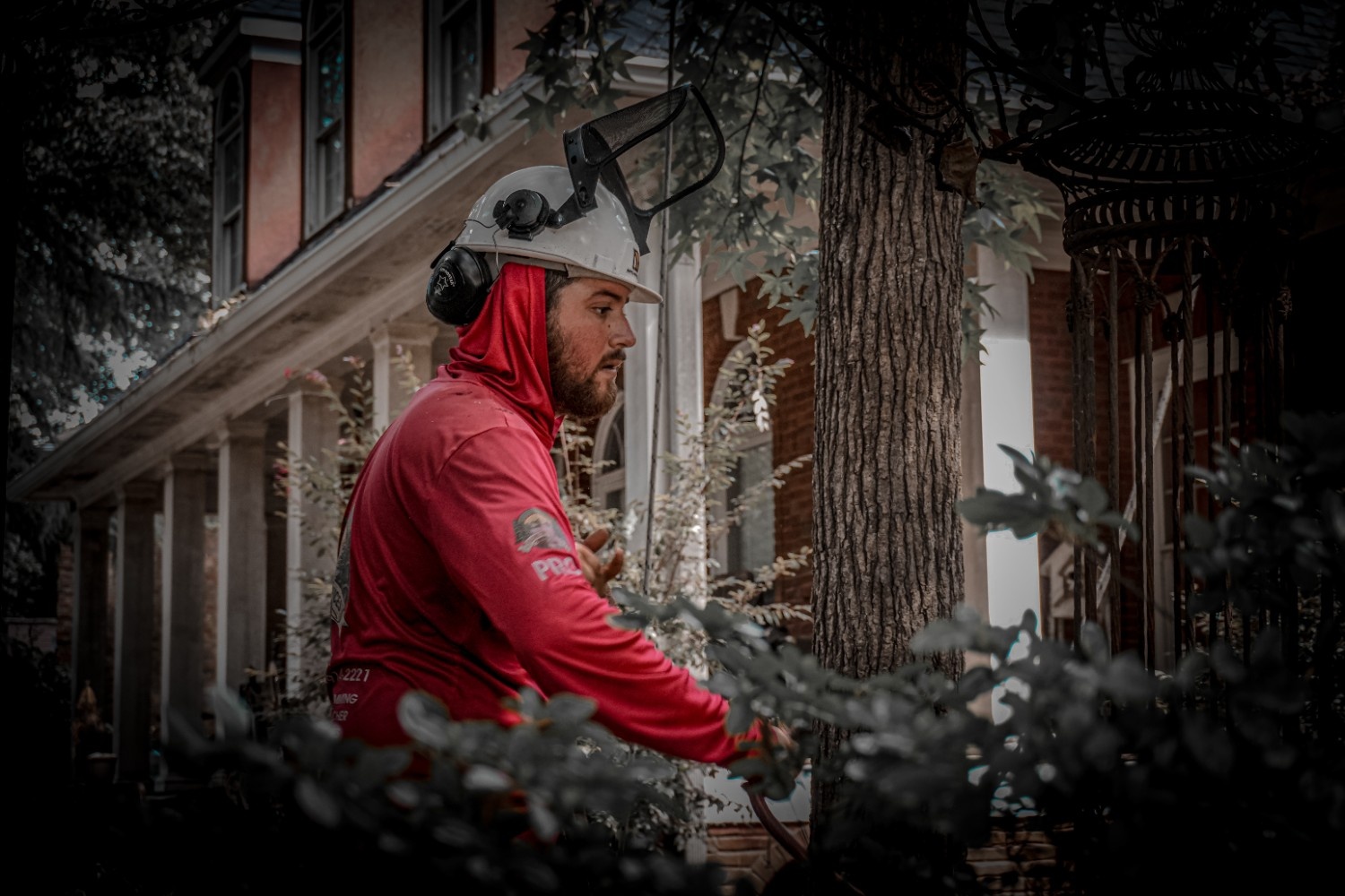 Photo of Vilchis Tree Services Pro of Acworth