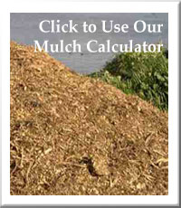 Mulch