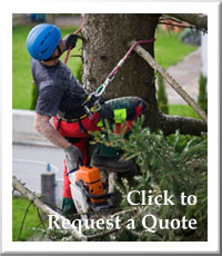 Cowart Mulch Products Inc tree service work