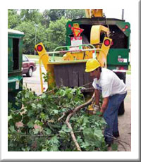 Photo of Cowart Mulch Products Inc