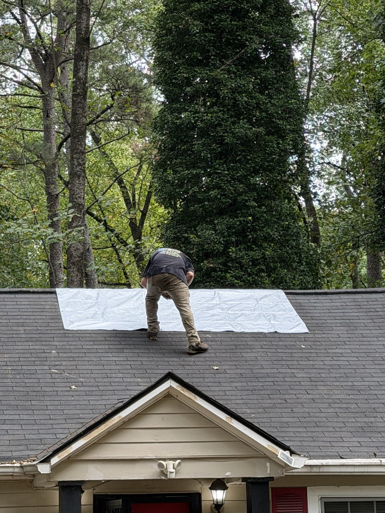 Photo of World Famous Tree Service LLC