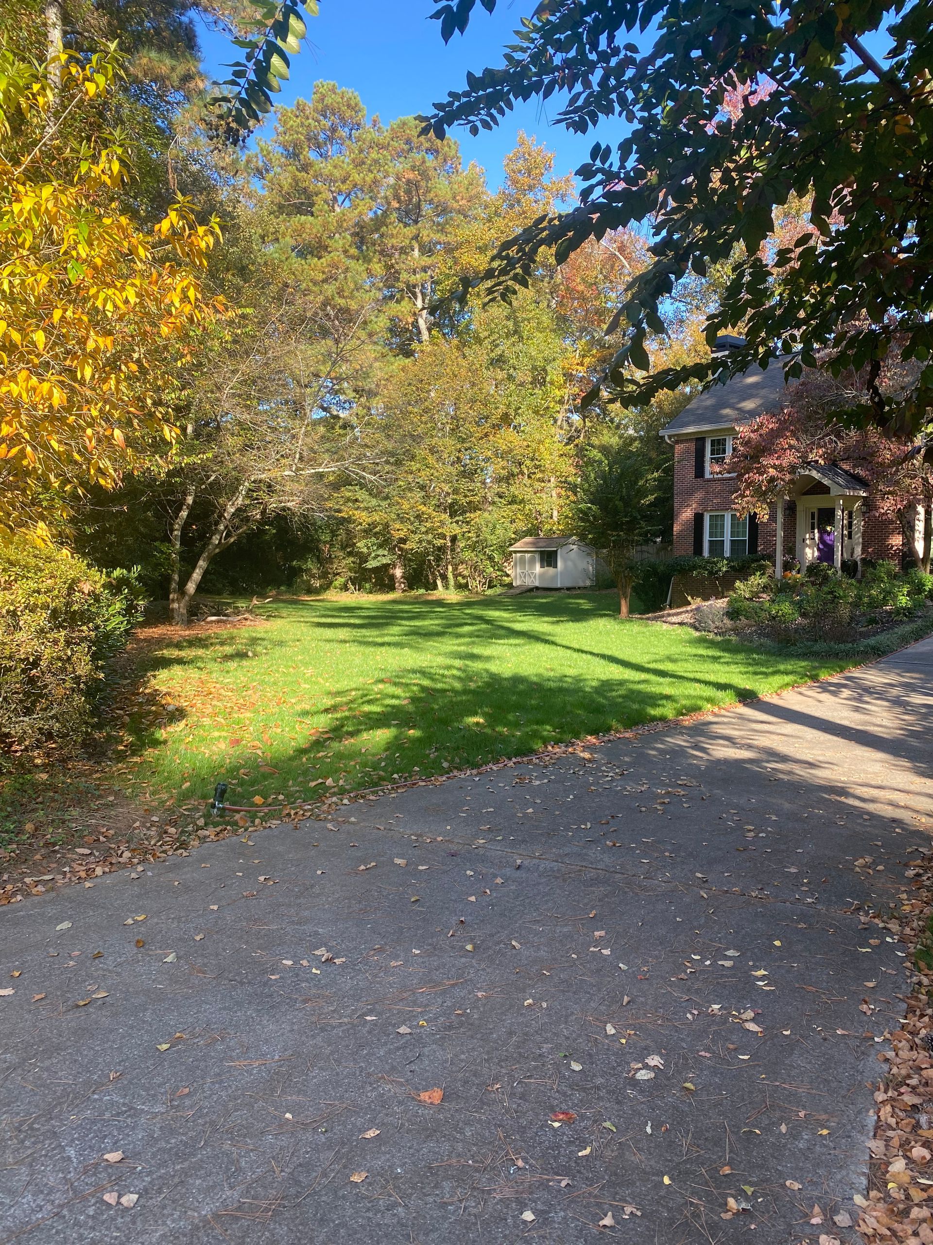 Photo of Lawn Specialist