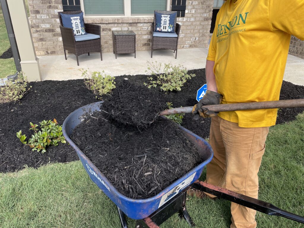 Benson Landscaping & Lawn Maintenance tree service work