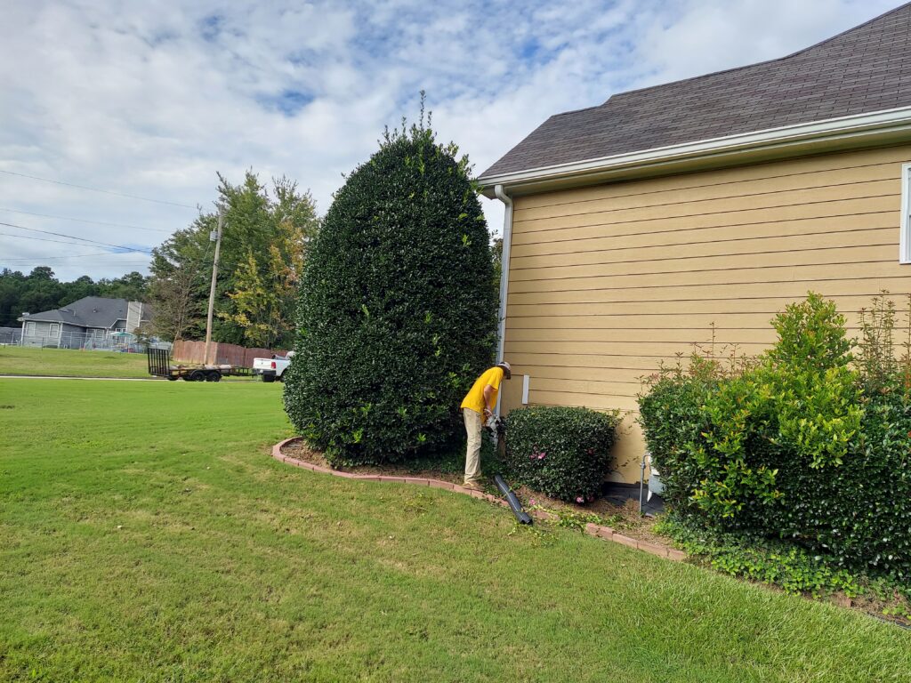 Photo of Benson Landscaping & Lawn Maintenance