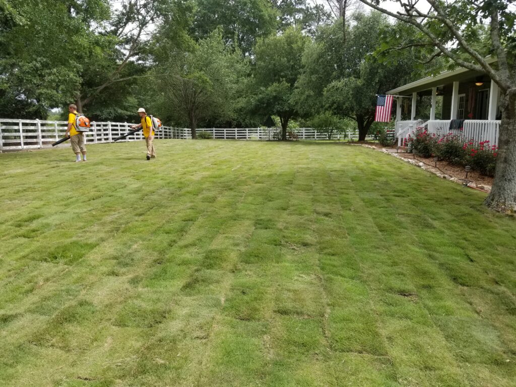 Benson Landscaping & Lawn Maintenance tree service work