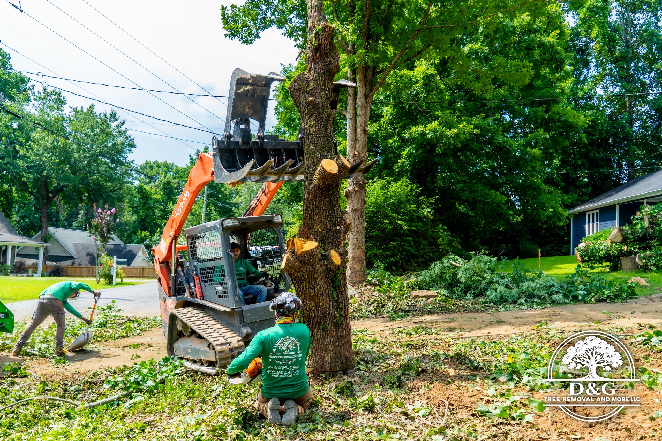 Photo of D&G TREE REMOVAL AND MORE LLC