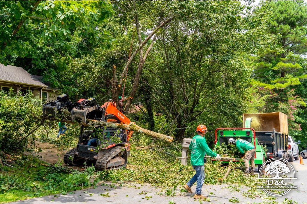 Storm damage