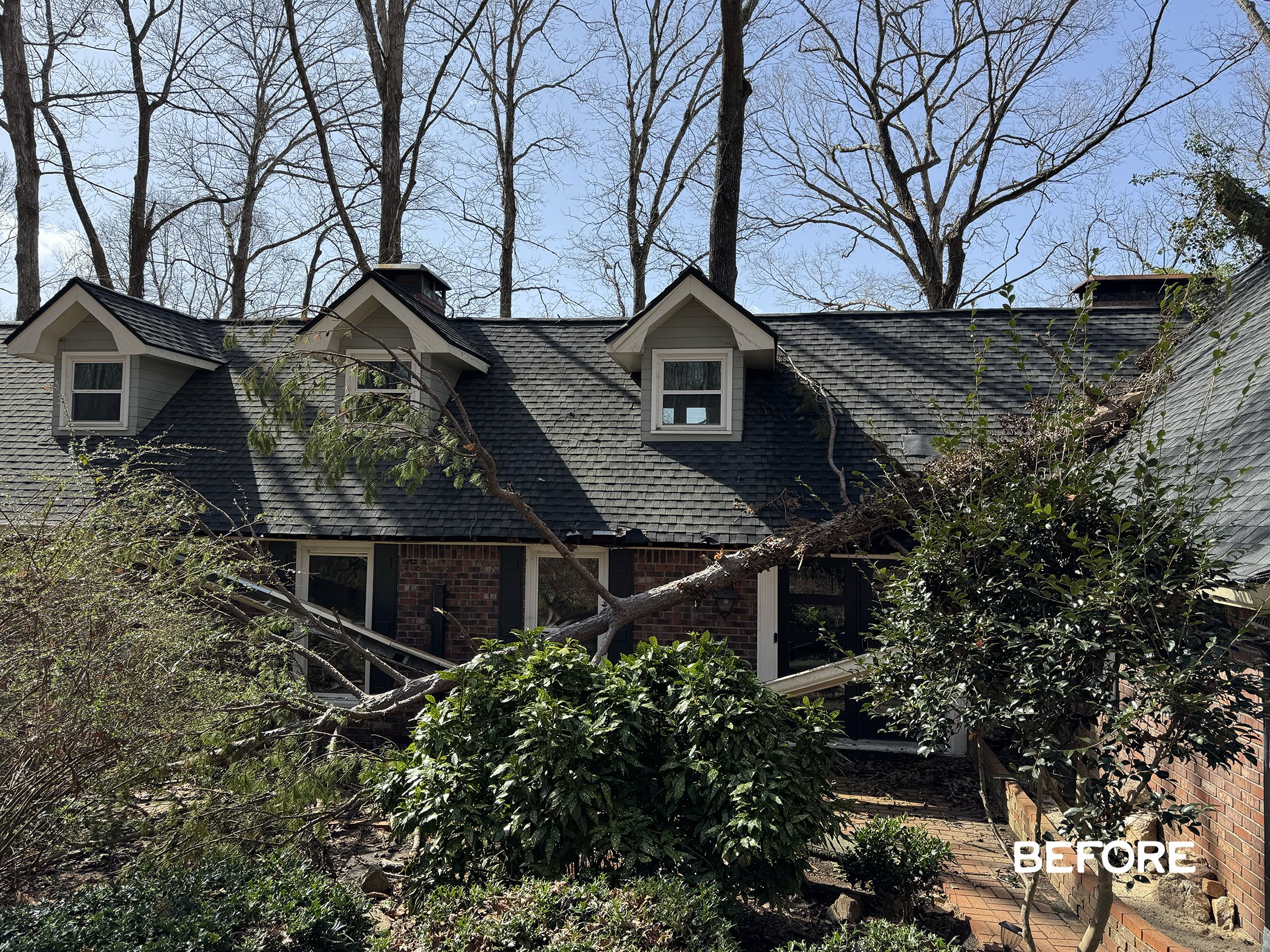 Before tree removal house