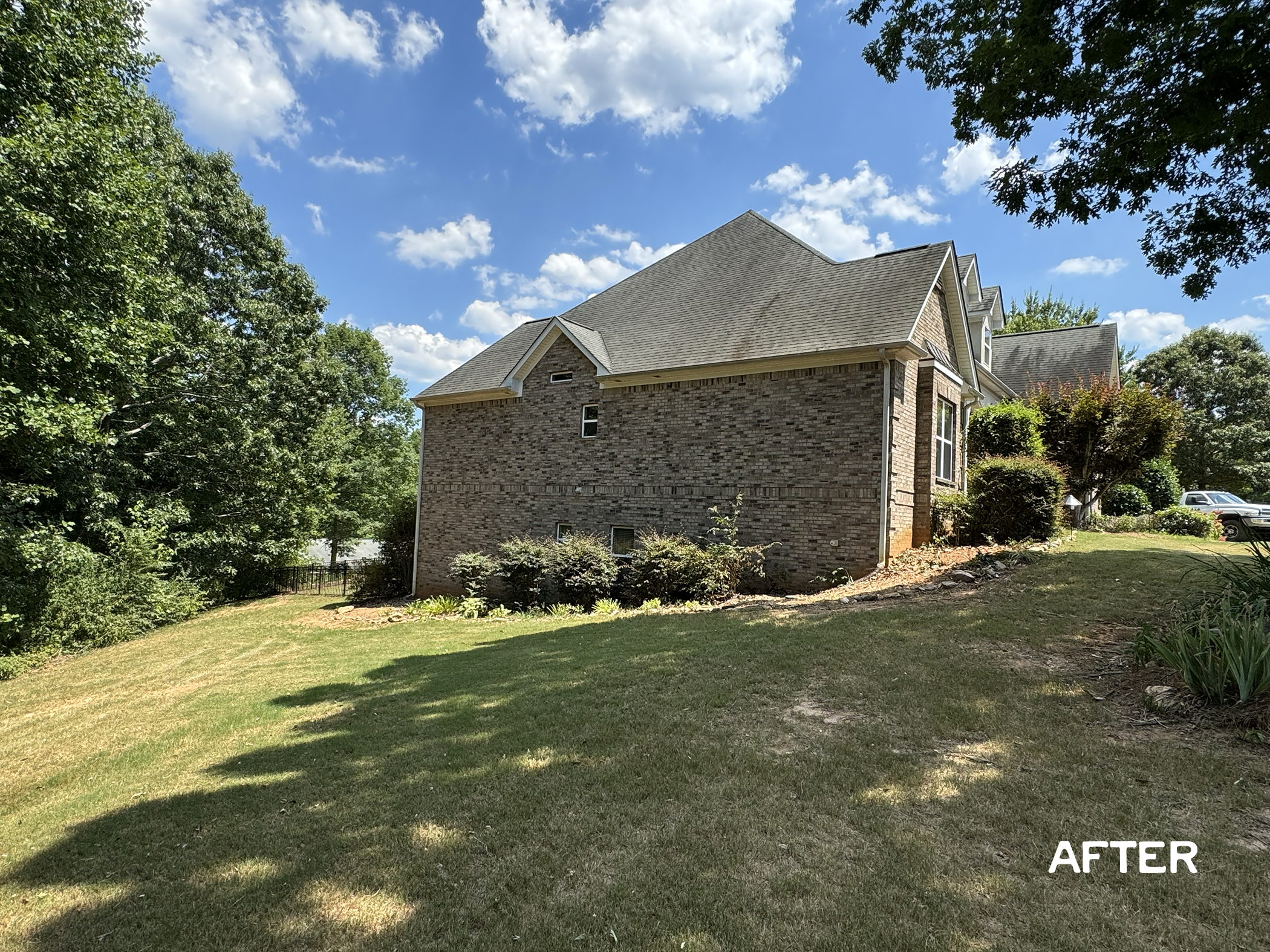 Photo of Top Notch Cuts Tree Service