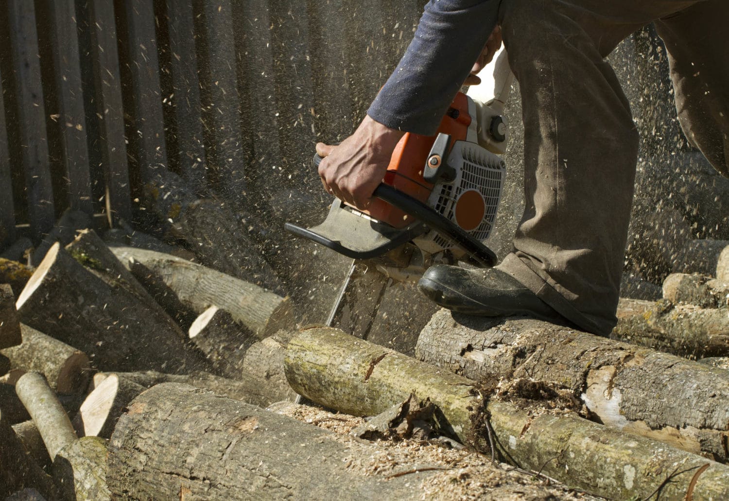 Photo of North Star Tree Service Lawrenceville