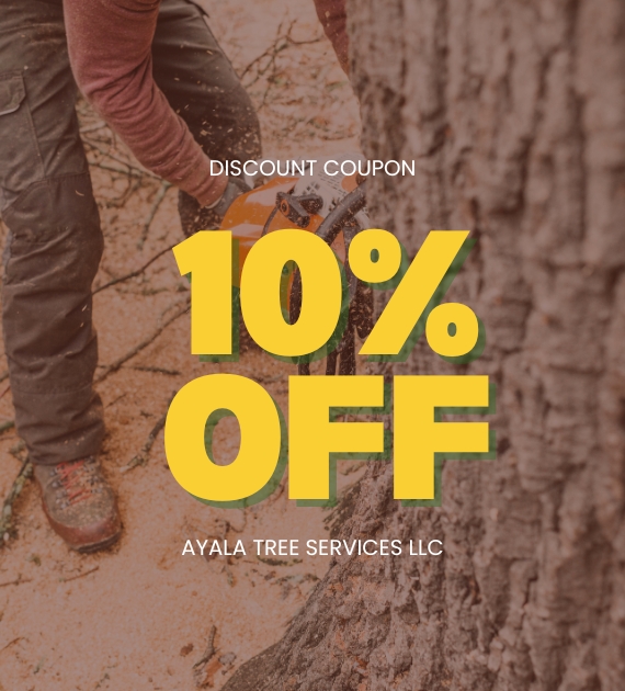 Photo of Ayala Tree Services LLC