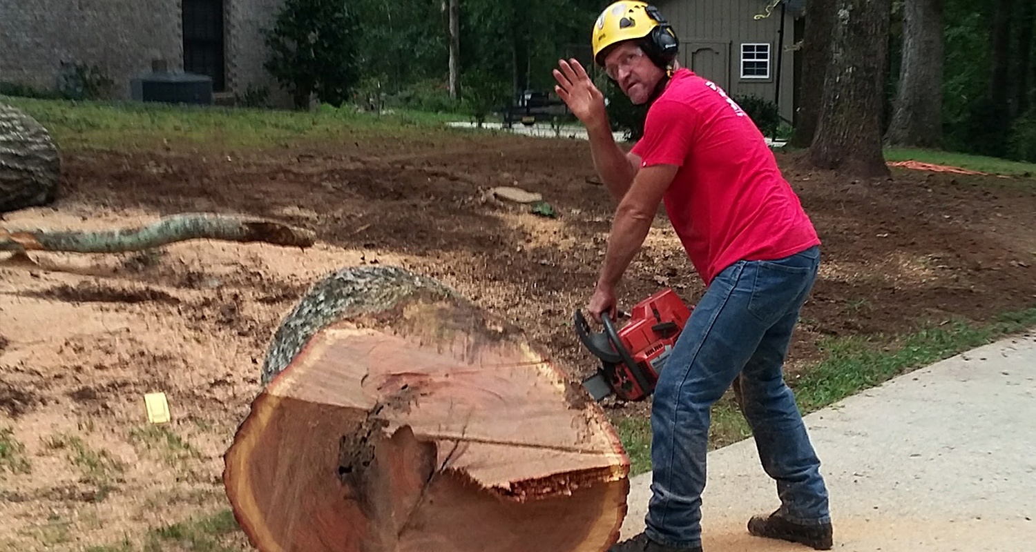 Photo of U-Savemore Tree Service