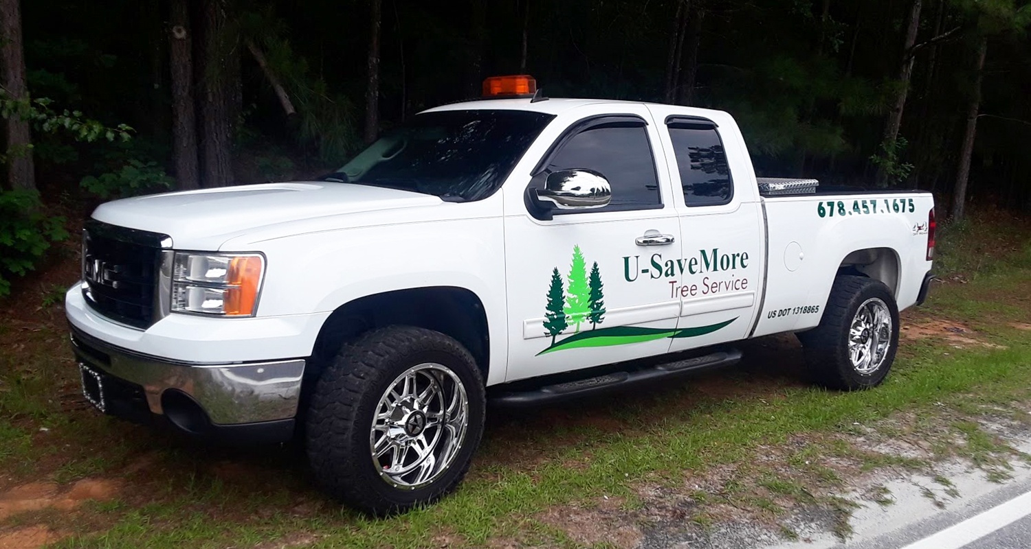 U Savemore tree service tree services gwinnett county