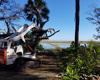 Duncans%20tree%20removal%204 JPG