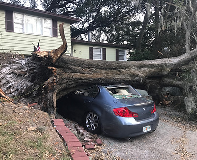 Duncans%20tree%20removal%201