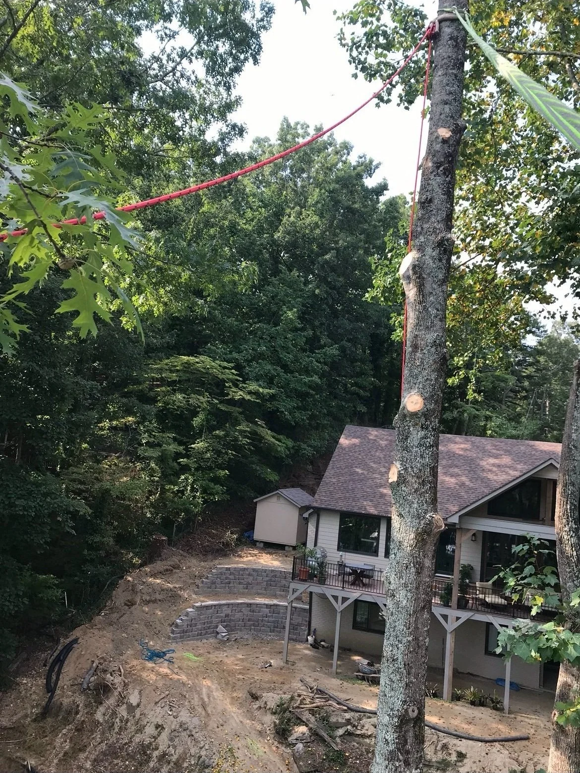 Photo of Oak Rangers Tree Service LLC