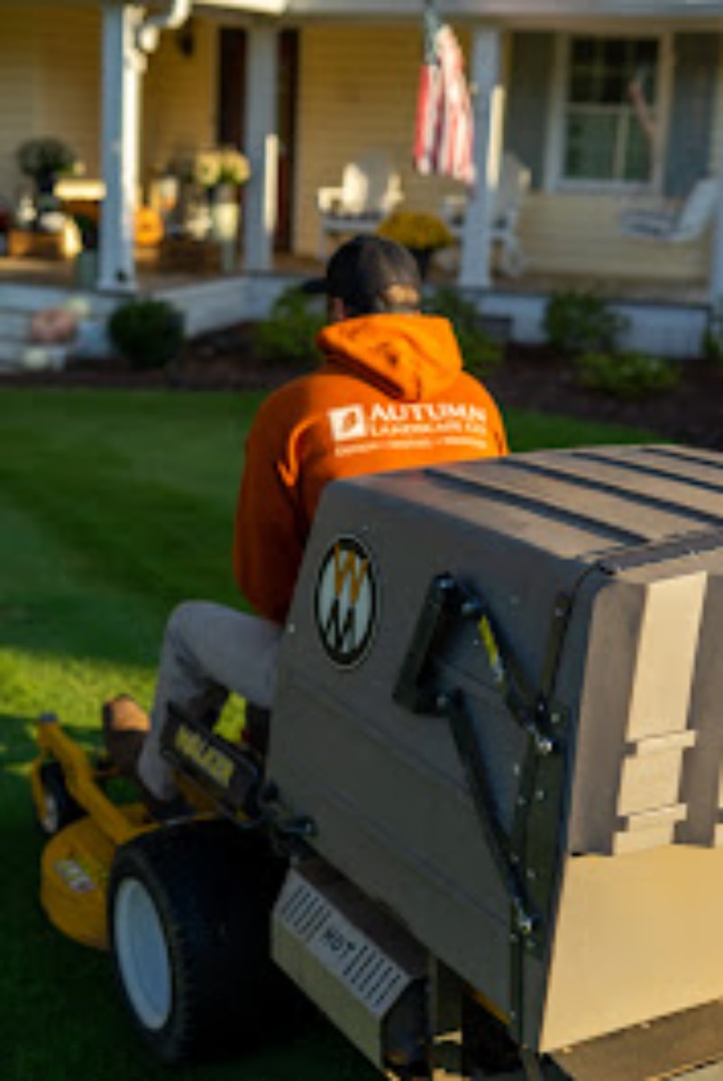 Lawn Care min
