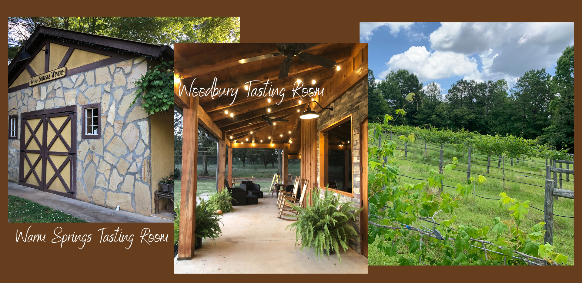 Photo of Warm Springs Winery at The Shed