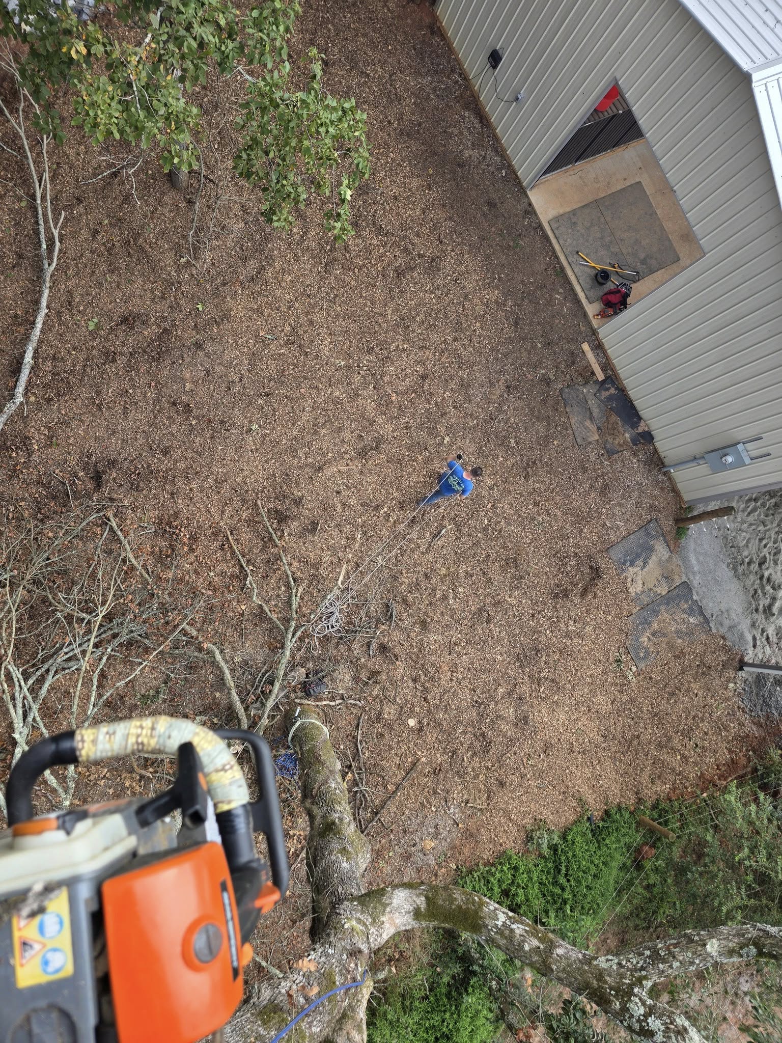Photo of Bobcat Bob LLC Grading, Clearing and Tree Service