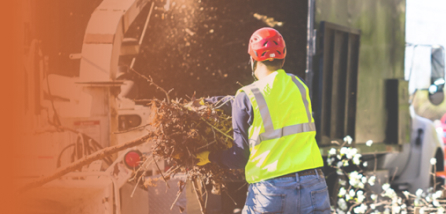 Photo of AVALON TREE SERVICES LLC.