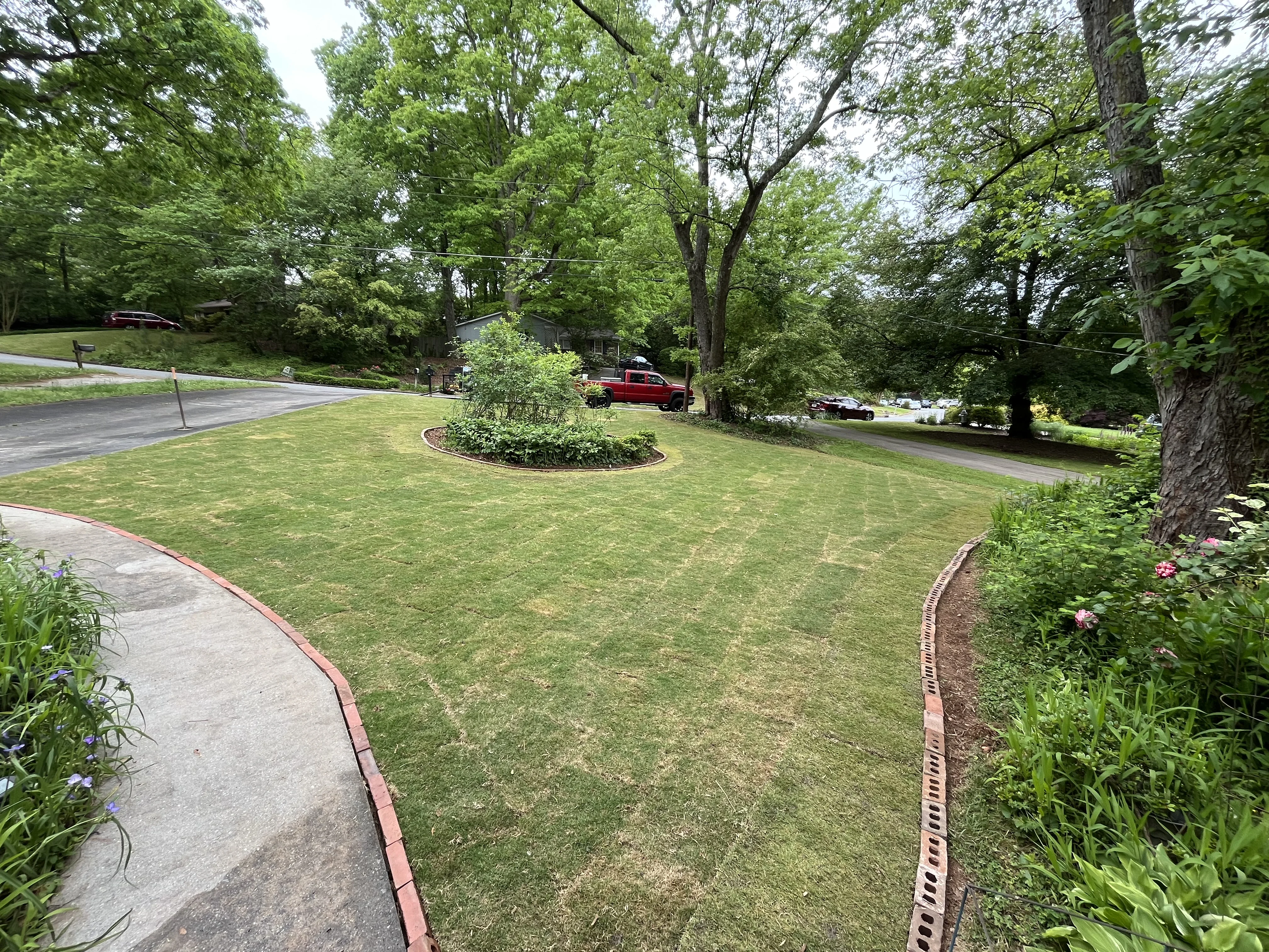 Outdoor Landscape Transformation tree service work