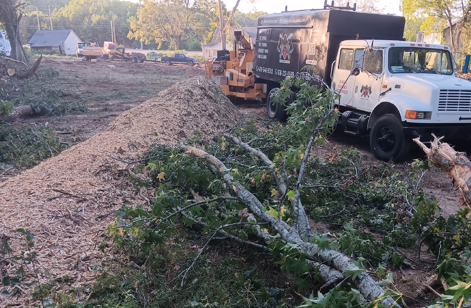 Cowboy Tree Care tree service work