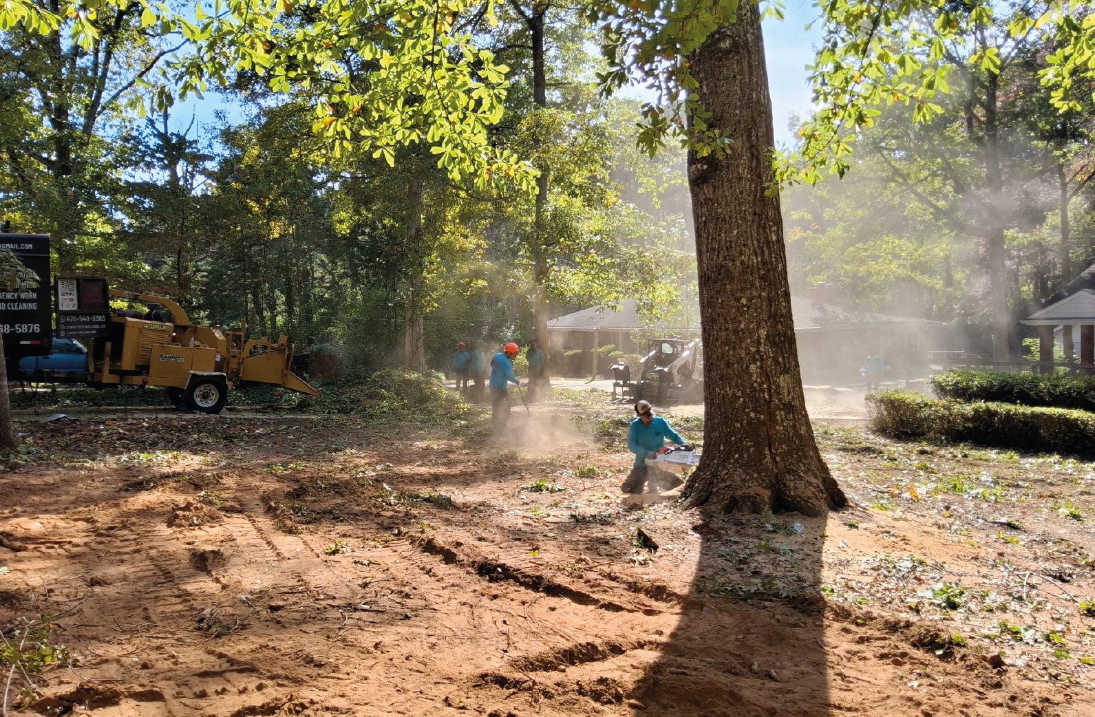 Photo of Cowboy Tree Care