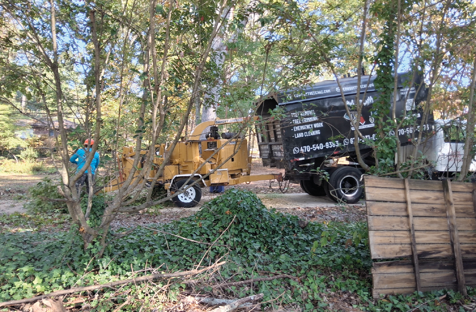 Tree Trimming and Pruning1