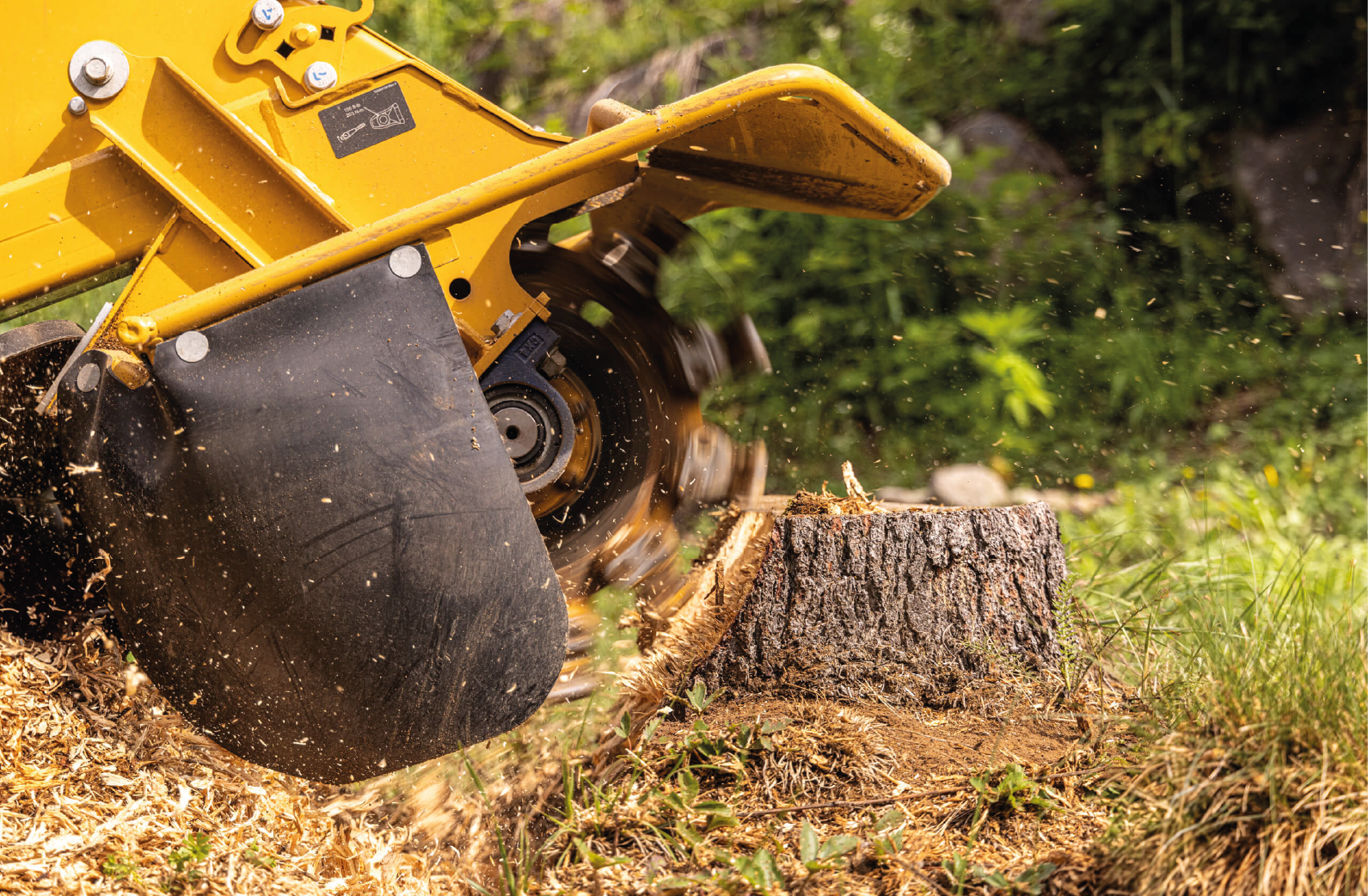 Cowboy Tree Care tree service work